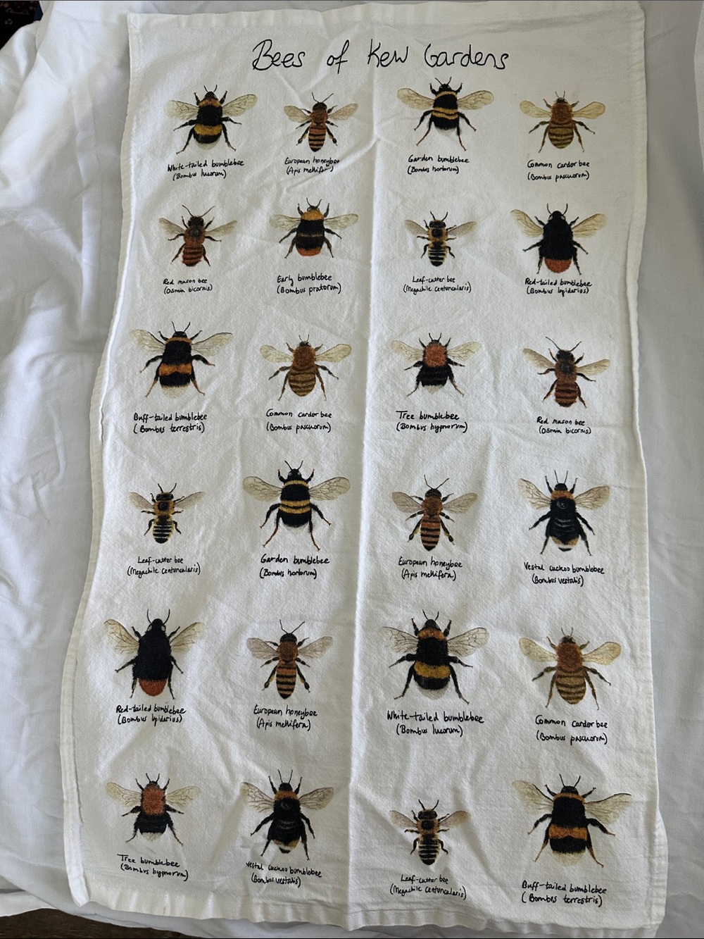 Bees of Kew Gardens Tea Towel - White with Yellow & Black Bees